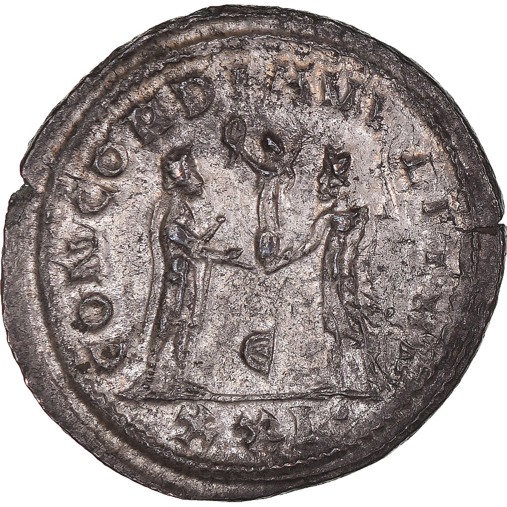Coniare, 
  
  Massimiano Ercole, 
  
  Antoniniano